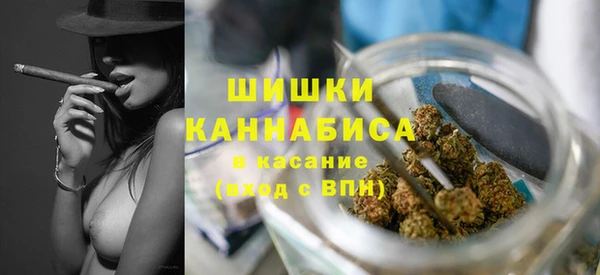 амф Бородино