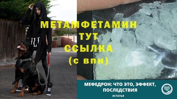 амф Бородино