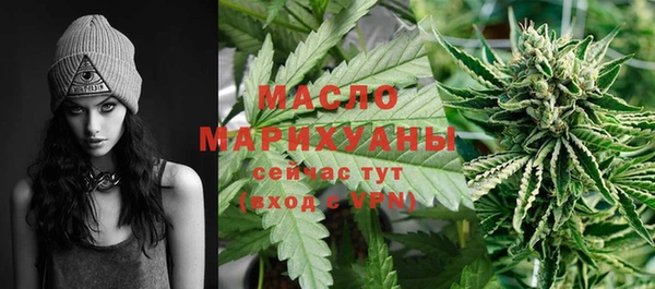 амф Бородино