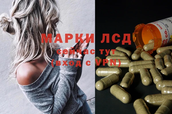 амф Бородино