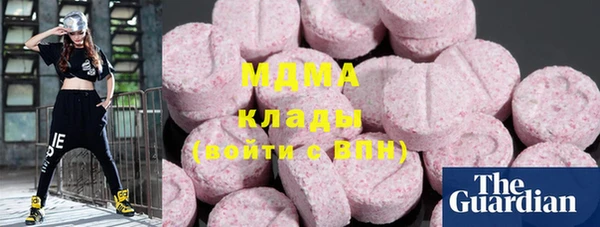 амф Бородино