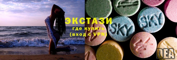 амф Бородино